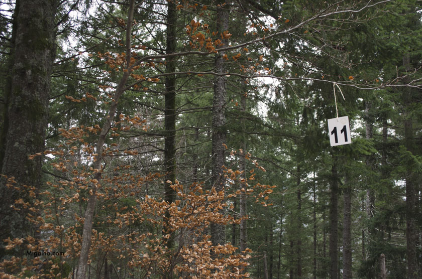 Porta de uma montaria.