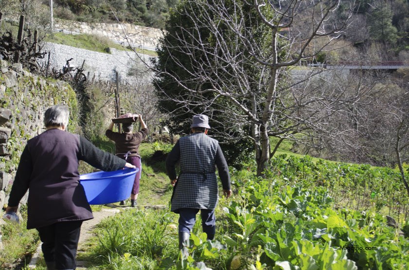 A caminho do ribeiro.