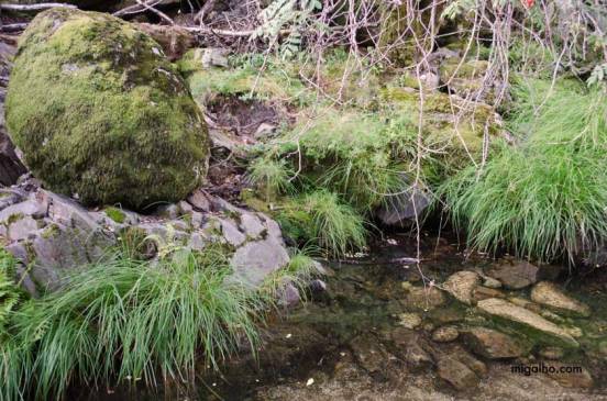 1RibeiraLeandresmedia