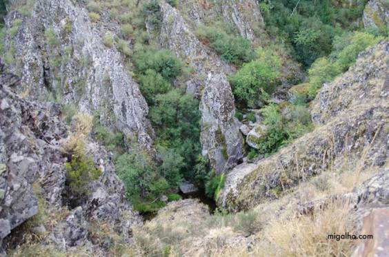 1RibeiraLeandresmedia2