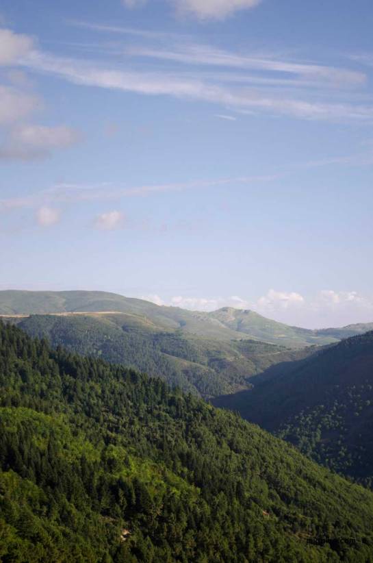 1vistaapartirribeiramedia