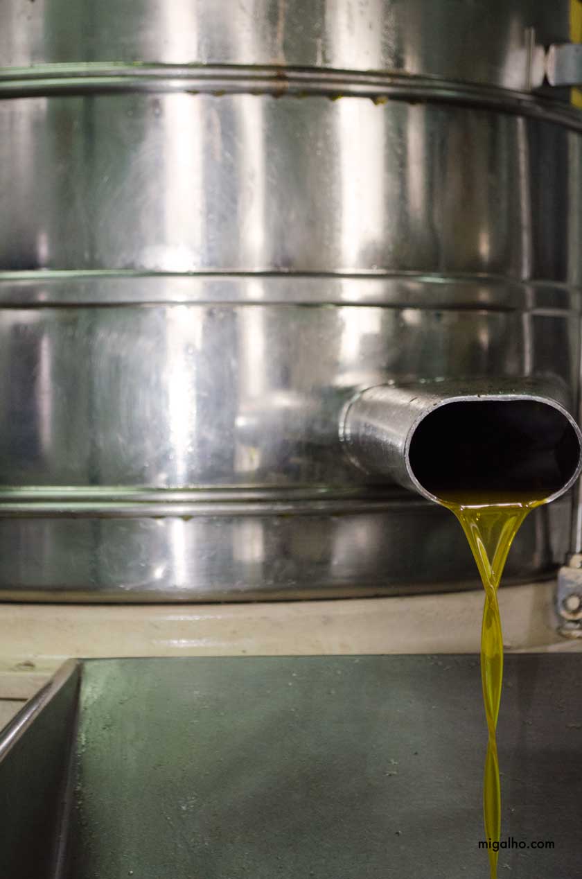 centrifugadora-media